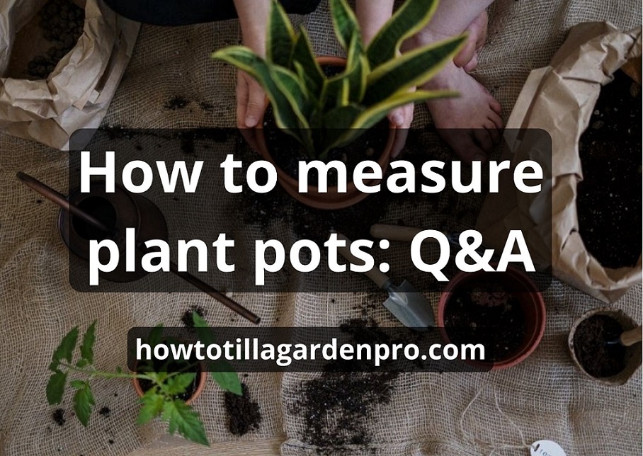 How To Measure Plant Pots: The Best Guide 2023